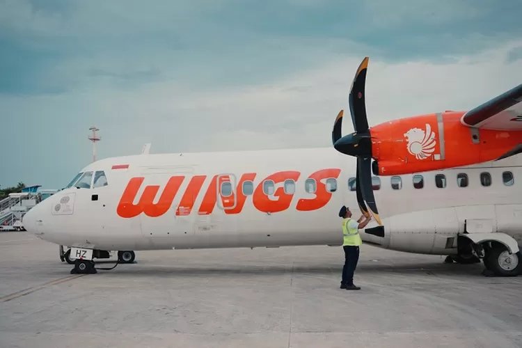 wings-air-509349570.jpg