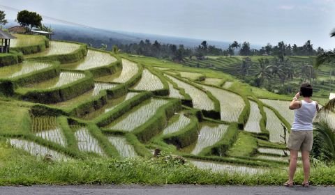 UNESCO Minta Indonesia Pertahankan Subak Jadi Pemanfaatan Air Berbasis Kearifan Lokal Bali