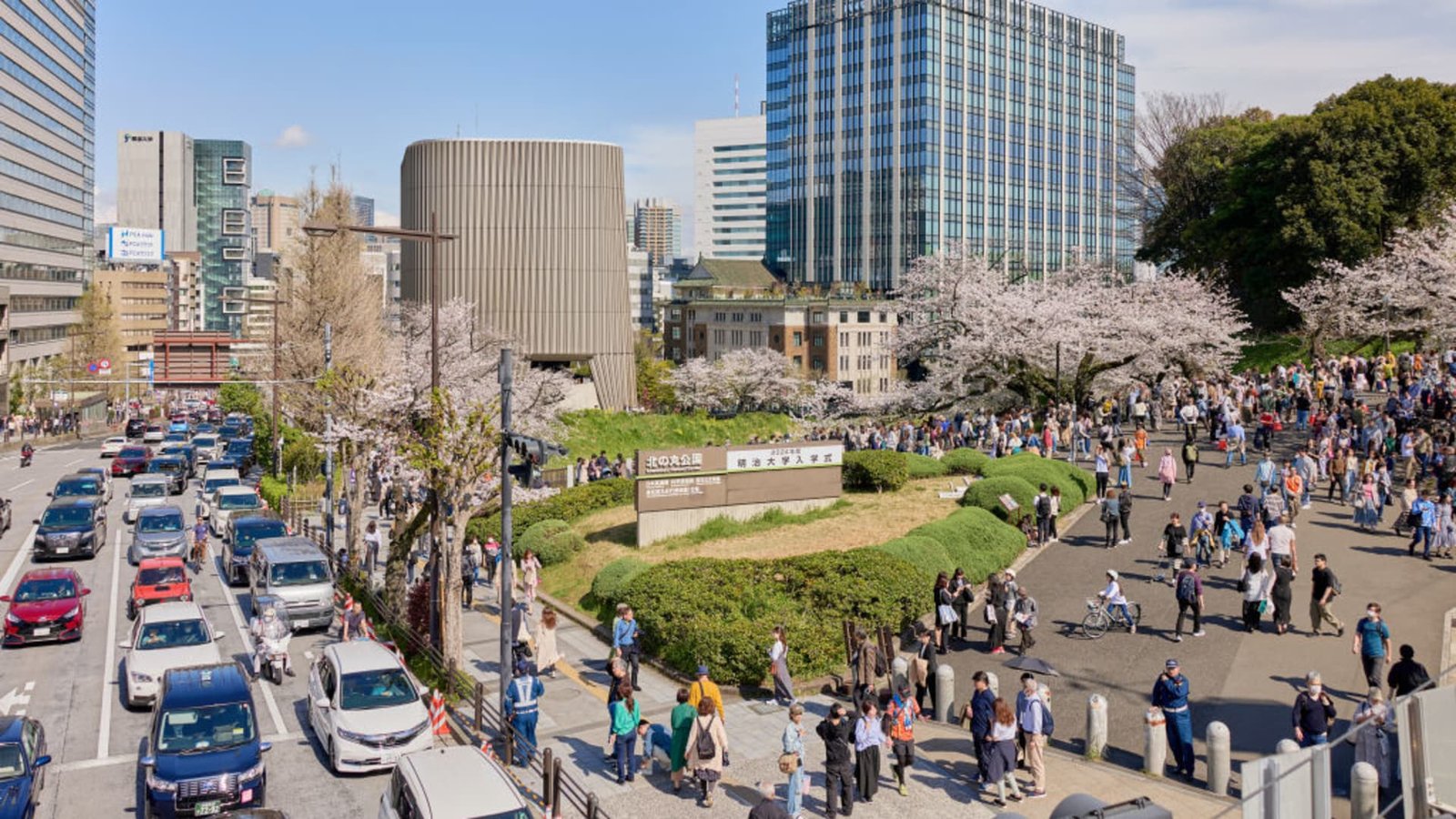 107406690-1714086154291-gettyimages-2139242151-JAPAN_CHERRY_BLOSSOM.jpeg