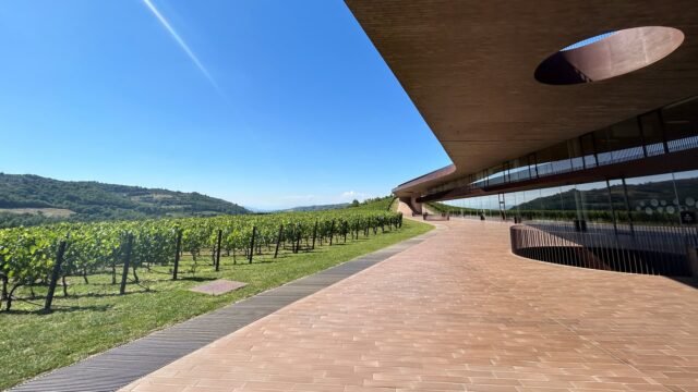 108011159-1721836492956-Antinori_1.jpg
