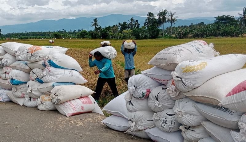Diterjang Kekeringan dan El Nino, Mentan Optimistis Indonesia Bisa Mitigasi Krisis Pangan