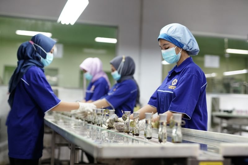 Tumbuh Positif, VICI Bukukan Pendapatan Rp698,8 Miliar di Paruh Pertama 2024