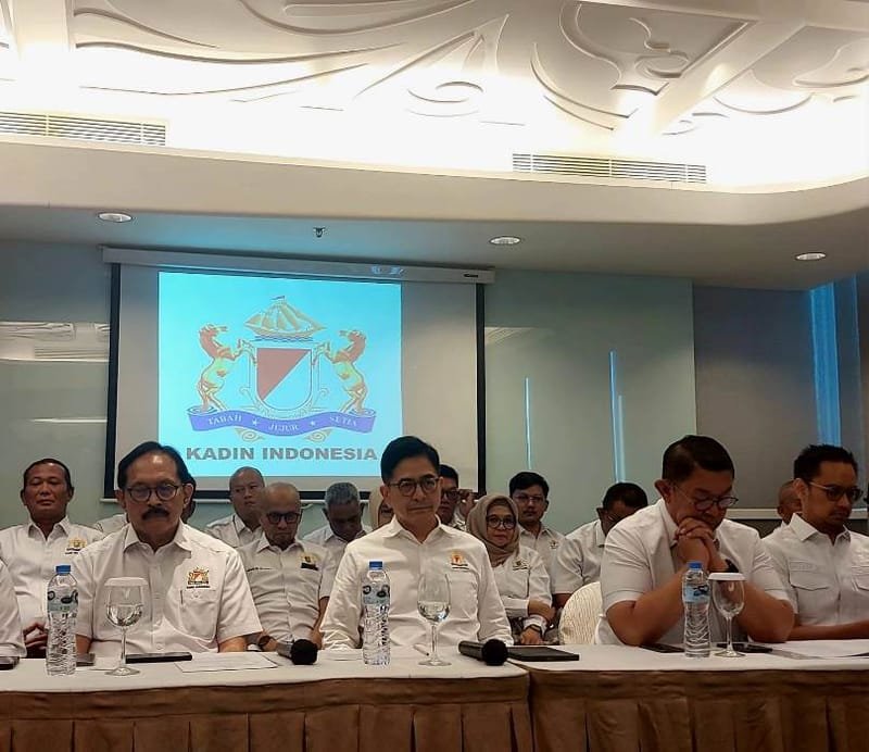 Ekonom: Kadin Sarat Konflik Kepentingan dengan Pemerinta