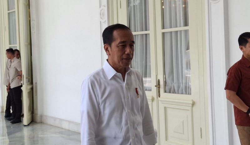 Pilot Susi Air Dibebaskan KKB Papua, Jokowi: Negosiasinya Panjang