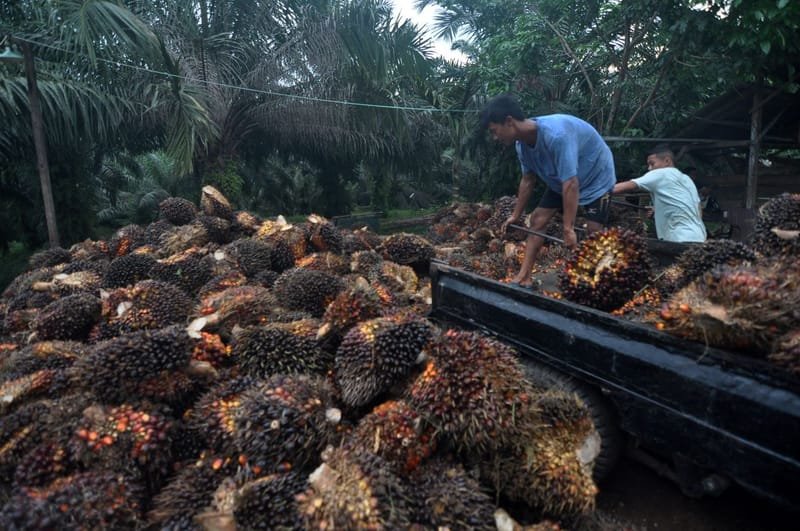 BPDPKS Dorong Perluasan Pemasaran Produk Berbasis Kelapa Sawit