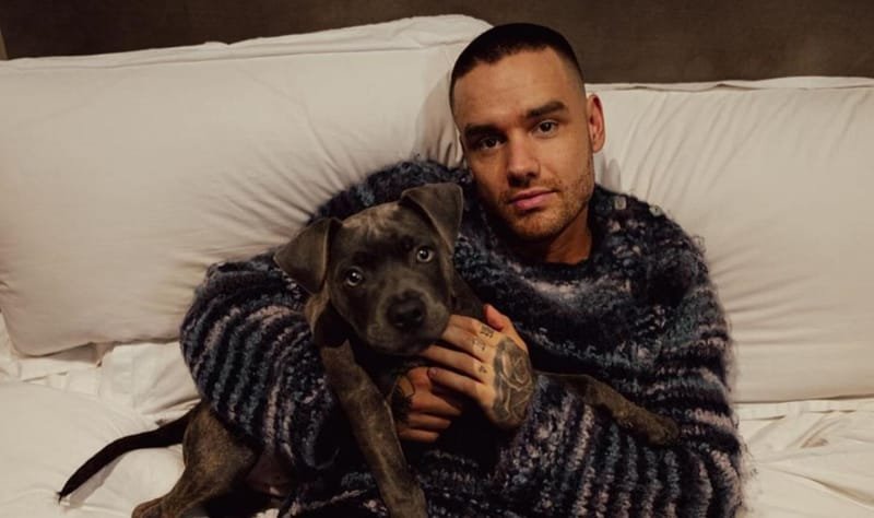 Liam Payne Meninggal Akibat Politrauma: Pahami Politrauma dan Dampaknya