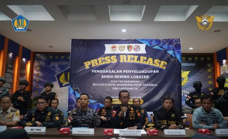 Bea Cukai Kepri Tindak 2 Penyelundupan Benih Bening Lobster Bernilai Rp43 Miliar