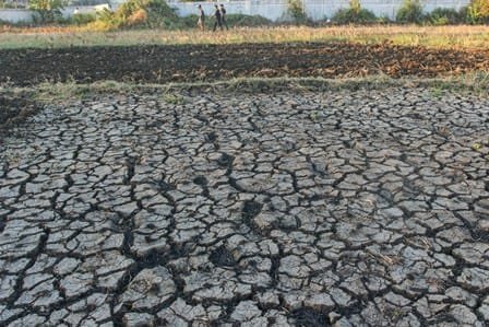 Mitigasi Perubahan Iklim Perlu Dilakukan di Setiap Wilayah