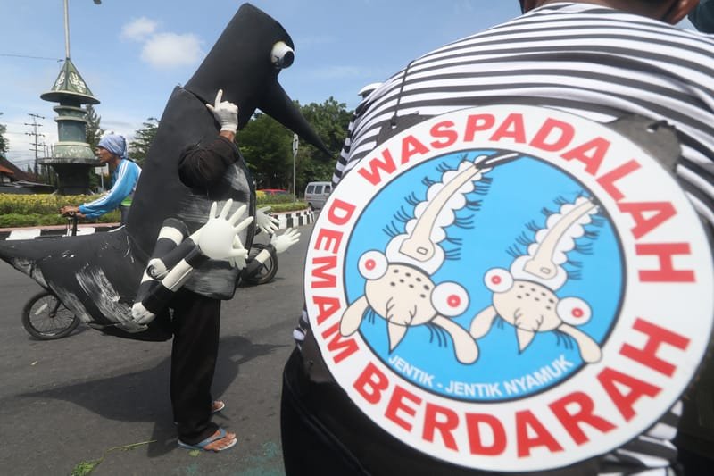 Cara Mencegah DBD dari Lingkungan Sekitar, Kenali Gejalanya