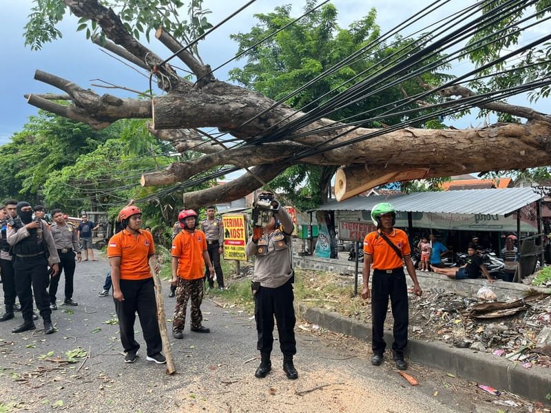 Hujan Es dan Angin Kencang Landa Sidoarjo, Sejumlah Pohon dan Tiang Listrik Roboh