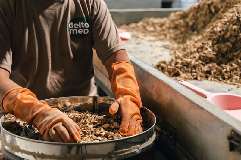 Perkuat Bisnis Obat Herbal Tradisional, Marguna Merger dengan Deltomed