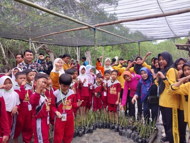 IMG-20241215-WA0040