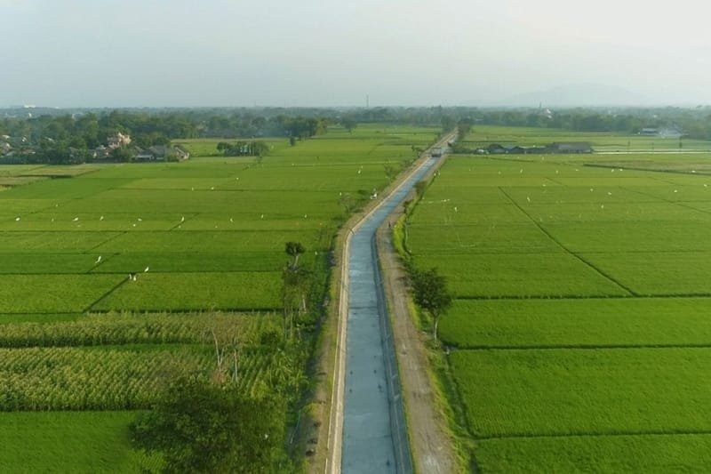 Dukung Swasembada Pangan, Menteri PU Percepat Pembangunan Daerah Irigasi