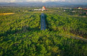 Sukses Raih Sertifikasi Perusahaan CarbonNeutral Enam Kali Berturut-turut