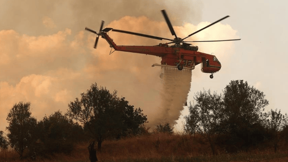 13 Korban Tewas Kebakaran Hutan di California