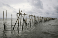 Pagar Bambu di Laut Tangerang belum Dibongkar, Nelayan Harap-harap Cemas