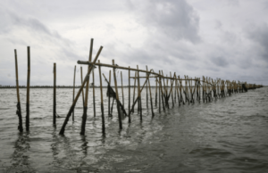Pagar Bambu di Laut Tangerang belum Dibongkar, Nelayan Harap-harap Cemas