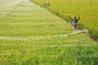 Menteri PU Ungkap Luas Tanam di Sulsel akan Ditambah 213.521 Hektare