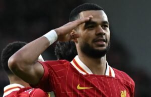 Keringat liverpool pada cedera cody gakpo untuk kunjungan serigala