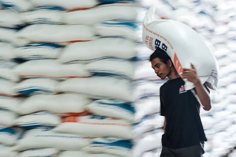 Antisipasi Over Capacity Jelang Panen Raya, Bulog Bakal Gandeng Pihak Lain untuk Sewa Gudang