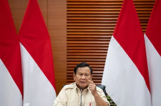 Presiden Prabowo Perintahkan Evaluasi Proyek Strategis Nasional