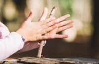 Arkeolog Temukan Alat Pengebor Api Berusia 7.000 Tahun di Tiongkok Ungkap Teknologi Pembuatan Api Purba