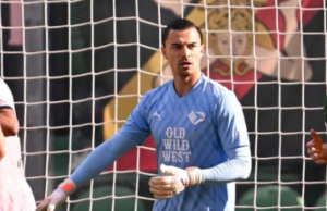 Komisi X Setuju Naturalisasi Emil Audero, Dean James dan Joey Pelupessy