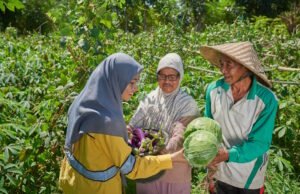 Program Pertanian Organik Tingkatkan Hasil Panen Petani Lokal