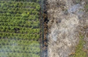 BMKG Tekankan Persyaratan Operasi Modifikasi Cuaca untuk Kendalikan Karhutla