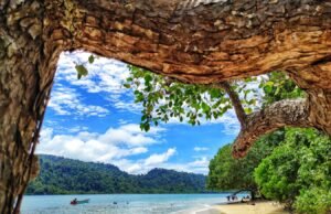 Nabire Mencekam, Cek Cuaca Hari Ini di Sekitar Anda