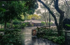 BMKG Peringatkan Cuaca Buruk di Banyak Wilayah Indonesia 8 Agustus 2025