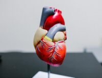 Kapan Waktu Terbaik Berlari? Ini Jawabannya!