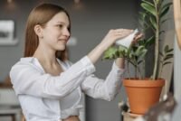 Bisakah Berbicara pada Tanaman Membuatnya Tumbuh Lebih Baik?