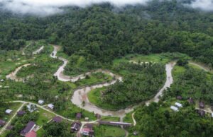 Kemenhut Prioritaskan Permohonan Hutan Adat di Pulau Sipora