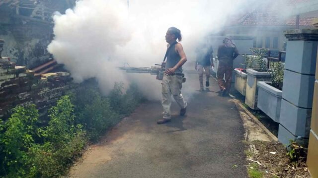 Satu-Anak-di-Kota-Banjar-Meninggal-akibat-DBD.jpg