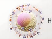 HIV di Kota Sorong Tembus 4.202 Kasus Sejak 2004 hingga 2025