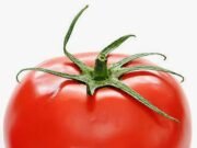 Tomat Melonjak 100 Persen di Pasar Rakyat Bolu Toraja Utara