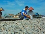 Bunga KUR BRI 2025: 3% atau 6%? Ini Penjelasan Lengkap!