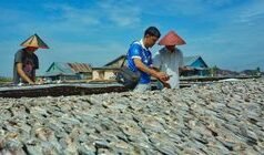 Bunga KUR BRI 2025: 3% atau 6%? Ini Penjelasan Lengkap!