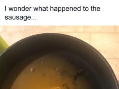 8 Meme Kaki Kucing, Menggemaskan dan Lucu!