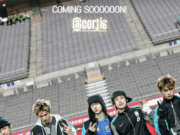 9 Foto Cantik Cortis di Pertandingan Sepak Bola Korea vs Ghana