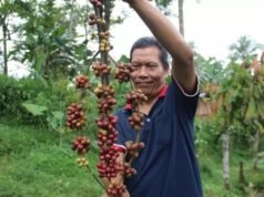Mengenal Kopi Nusantara: Rasa Kaya dari Bumi Indonesia
