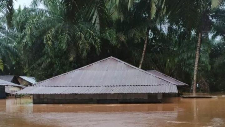 Pemicu Banjir Tapanuli: Industri Hancurkan Ekosistem