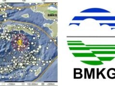Gempa Maluku Mengguncang, Informasi Terbaru dari BMKG