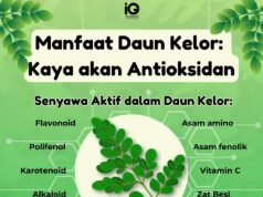 Manfaat Kesehatan Daun Jelatang: Rasa Terbakar dan Gatal Saat Bersentuhan Kulit