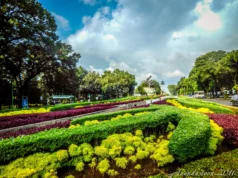 Taman Rasa Gading Serpong Jadi Ikon Kuliner Pasadena