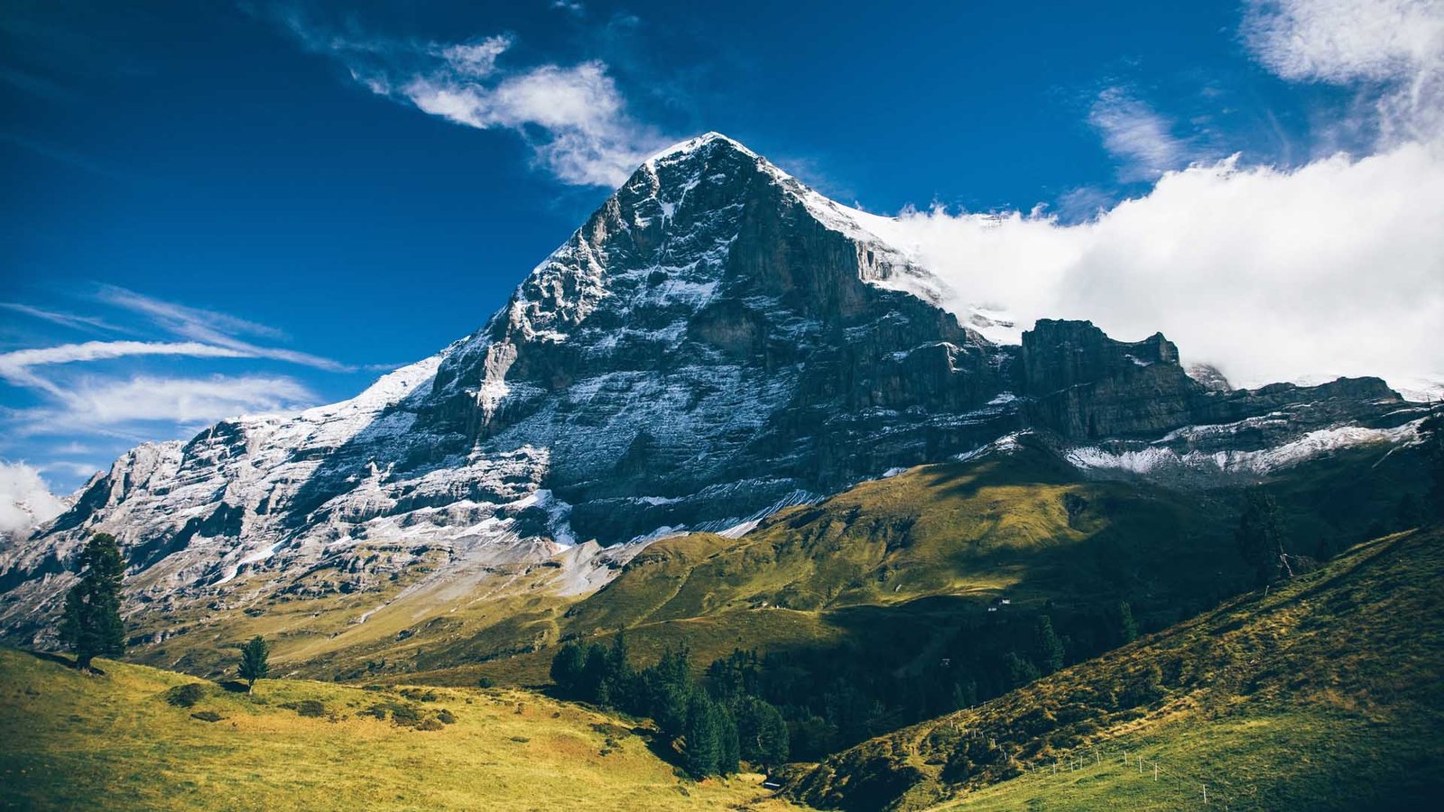 EIGER Perkenalkan Verdant Low Cut, Sepatu Ringan untuk Perjalanan