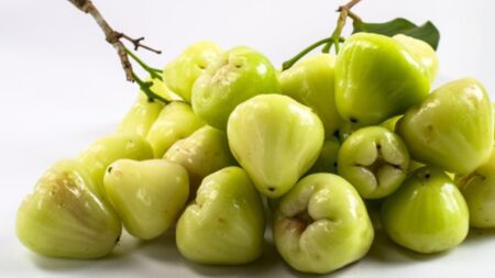 Manfaat Luar Biasa Jambu Air untuk Kesehatan