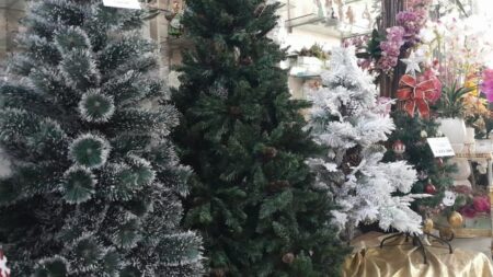 Pesona Pohon Natal: Rahasia di Balik Keindahannya