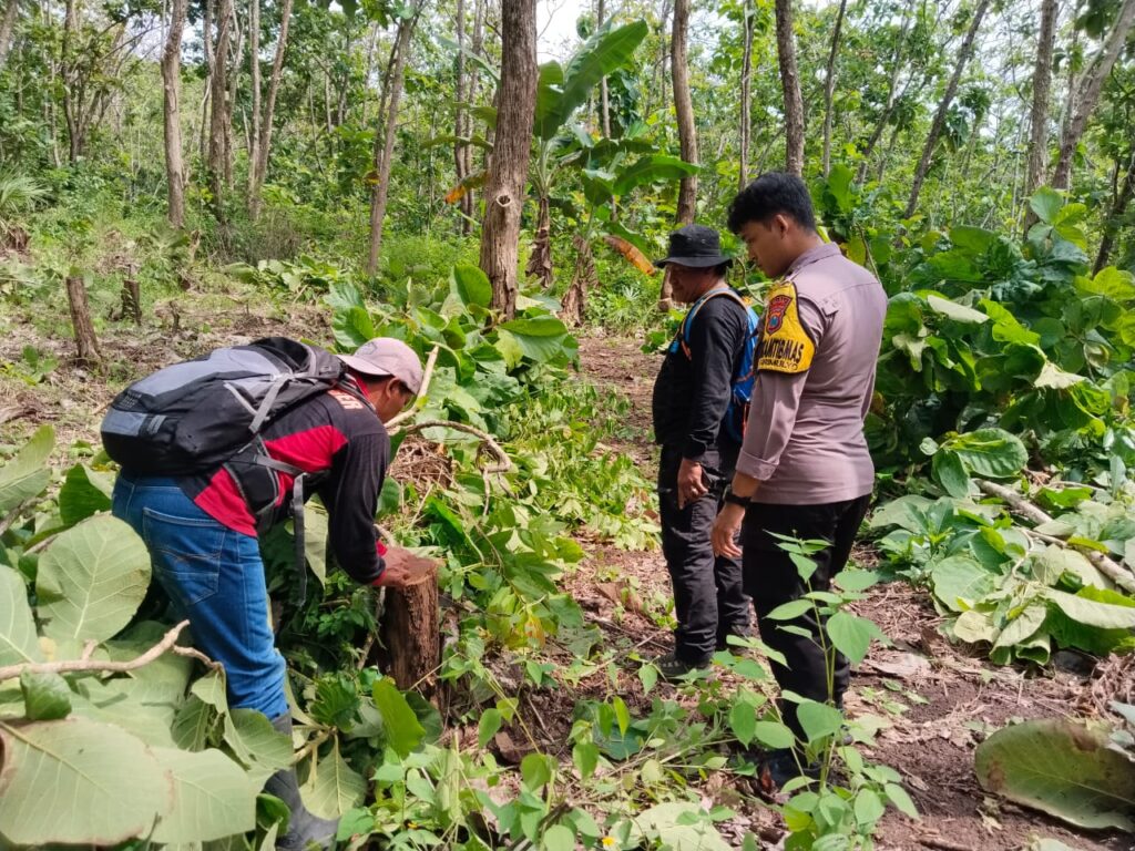 AKTIVIS LINGKUNGAN DUKUNG PENANGKAPAN PEMBALAK LIAR DI KABUPATEN MALANG